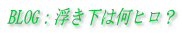 BLOG$B!'Ib$-2<$O2?%R%m!)(B 