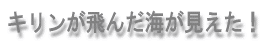 L񂾊CI