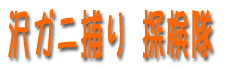 uKjvT 