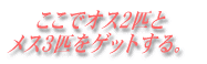 ŃIXQC XRCQbgB