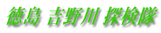  g T 