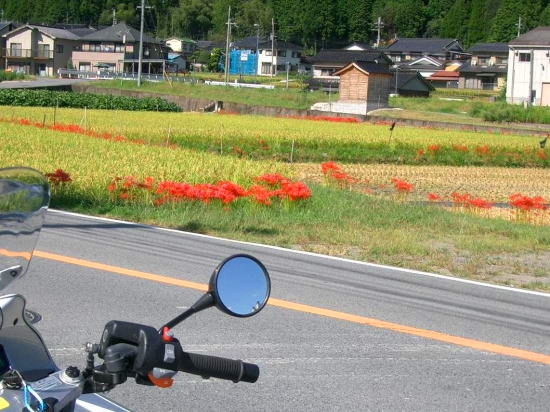 Rc[O̎ʐ^