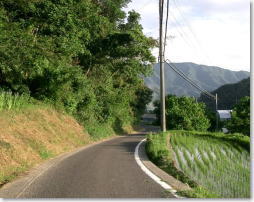NbNŉ摜